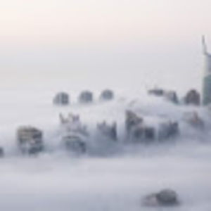 Meet your Posher, Dominic